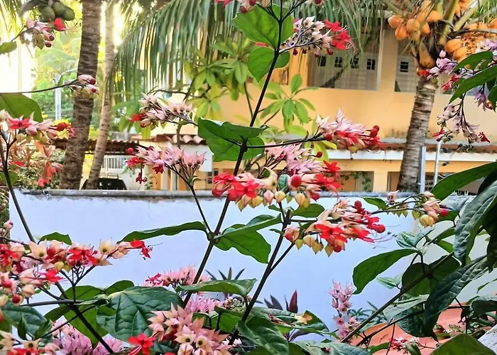 Villa Brenaipa Pôrto das Galinhas, Brasil